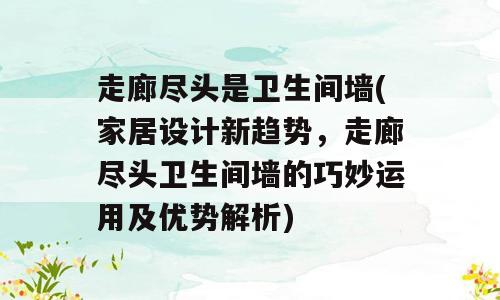 走廊尽头是卫生间墙(家居设计新趋势，走廊尽头卫生间墙的巧妙运用及优势解析)