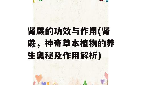 肾蕨的功效与作用(肾蕨，神奇草本植物的养生奥秘及作用解析)