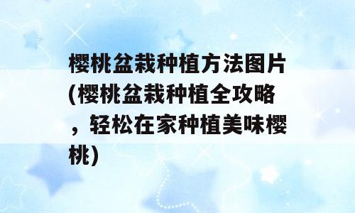 樱桃盆栽种植方法图片(樱桃盆栽种植全攻略，轻松在家种植美味樱桃)