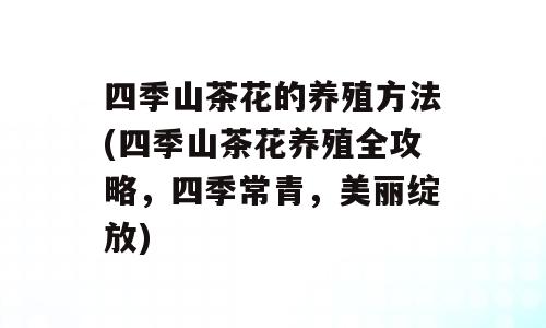 四季山茶花的养殖方法(四季山茶花养殖全攻略，四季常青，美丽绽放)
