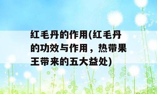 红毛丹的作用(红毛丹的功效与作用，热带果王带来的五大益处)