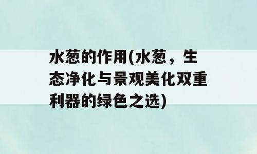 水葱的作用(水葱，生态净化与景观美化双重利器的绿色之选)