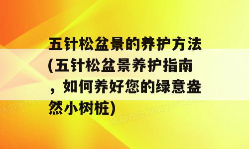 五针松盆景的养护方法(五针松盆景养护指南，如何养好您的绿意盎然小树桩)