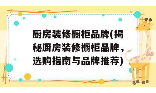 厨房装修橱柜品牌(揭秘厨房装修橱柜品牌，选购指南与品牌推荐)