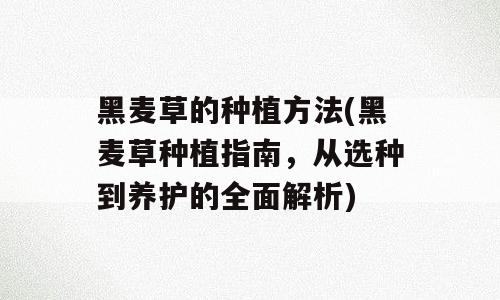 黑麦草的种植方法(黑麦草种植指南，从选种到养护的全面解析)