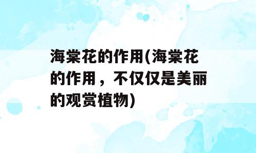 海棠花的作用(海棠花的作用，不仅仅是美丽的观赏植物)