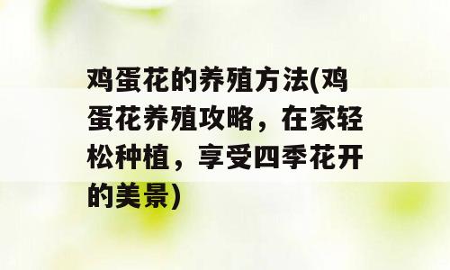 鸡蛋花的养殖方法(鸡蛋花养殖攻略，在家轻松种植，享受四季花开的美景)