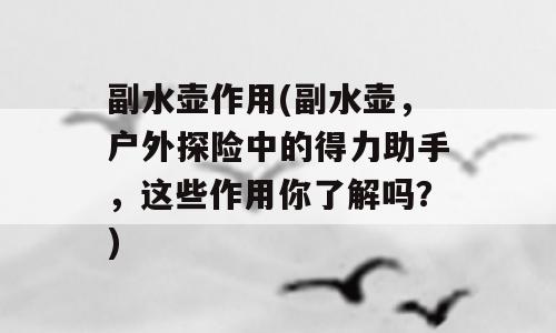 副水壶作用(副水壶，户外探险中的得力助手，这些作用你了解吗？)