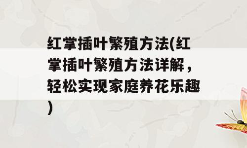 红掌插叶繁殖方法(红掌插叶繁殖方法详解，轻松实现家庭养花乐趣)