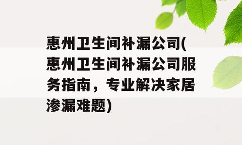 惠州卫生间补漏公司(惠州卫生间补漏公司服务指南，专业解决家居渗漏难题)