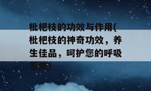 枇杷枝的功效与作用(枇杷枝的神奇功效，养生佳品，呵护您的呼吸系统)