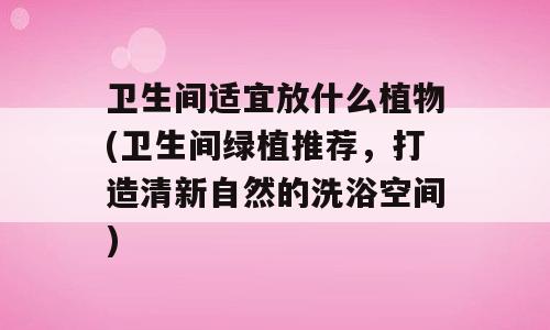 卫生间适宜放什么植物(卫生间绿植推荐，打造清新自然的洗浴空间)