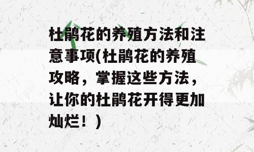 杜鹃花的养殖方法和注意事项(杜鹃花的养殖攻略，掌握这些方法，让你的杜鹃花开得更加灿烂！)