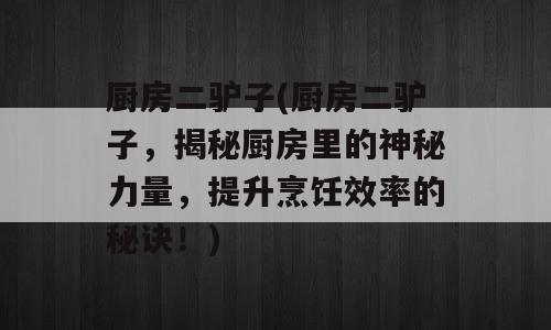 厨房二驴子(厨房二驴子，揭秘厨房里的神秘力量，提升烹饪效率的秘诀！)