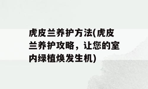 虎皮兰养护方法(虎皮兰养护攻略，让您的室内绿植焕发生机)
