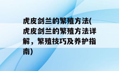 虎皮剑兰的繁殖方法(虎皮剑兰的繁殖方法详解，繁殖技巧及养护指南)