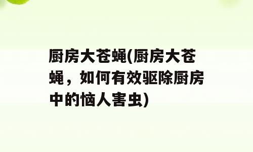 厨房大苍蝇(厨房大苍蝇，如何有效驱除厨房中的恼人害虫)