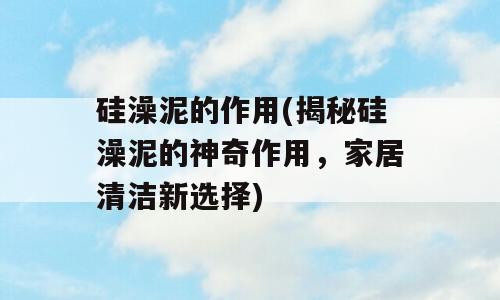 硅澡泥的作用(揭秘硅澡泥的神奇作用，家居清洁新选择)