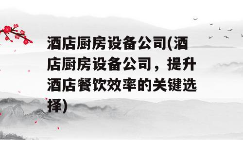 酒店厨房设备公司(酒店厨房设备公司，提升酒店餐饮效率的关键选择)