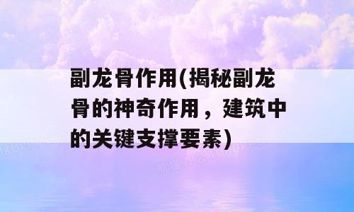 副龙骨作用(揭秘副龙骨的神奇作用，建筑中的关键支撑要素)