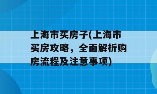 上海市买房子(上海市买房攻略，全面解析购房流程及注意事项)