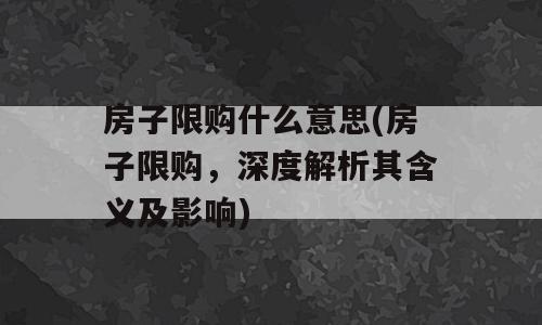 房子限购什么意思(房子限购，深度解析其含义及影响)