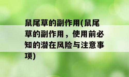 鼠尾草的副作用(鼠尾草的副作用，使用前必知的潜在风险与注意事项)