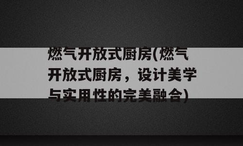 燃气开放式厨房(燃气开放式厨房，设计美学与实用性的完美融合)