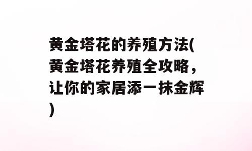 黄金塔花的养殖方法(黄金塔花养殖全攻略，让你的家居添一抹金辉)