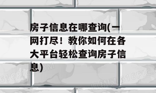 房子信息在哪查询(一网打尽！教你如何在各大平台轻松查询房子信息)