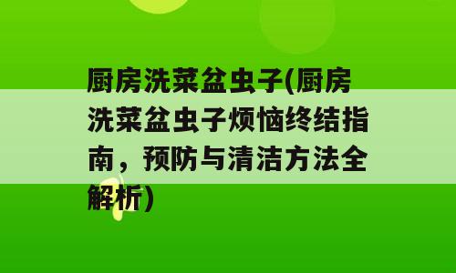 厨房洗菜盆虫子(厨房洗菜盆虫子烦恼终结指南，预防与清洁方法全解析)