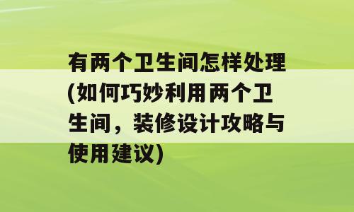有两个卫生间怎样处理(如何巧妙利用两个卫生间，装修设计攻略与使用建议)