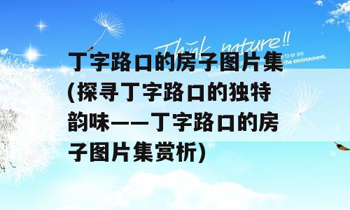丁字路口的房子图片集(探寻丁字路口的独特韵味——丁字路口的房子图片集赏析)