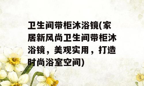 卫生间带柜沐浴镜(家居新风尚卫生间带柜沐浴镜，美观实用，打造时尚浴室空间)