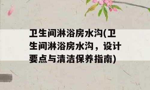 卫生间淋浴房水沟(卫生间淋浴房水沟，设计要点与清洁保养指南)
