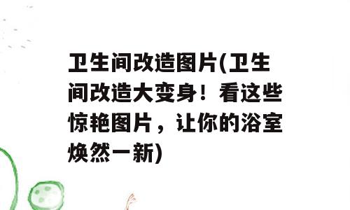 卫生间改造图片(卫生间改造大变身！看这些惊艳图片，让你的浴室焕然一新)