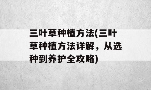 三叶草种植方法(三叶草种植方法详解，从选种到养护全攻略)