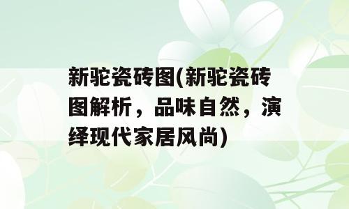 新驼瓷砖图(新驼瓷砖图解析，品味自然，演绎现代家居风尚)