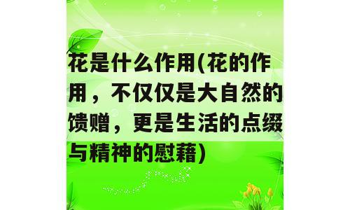 花是什么作用(花的作用，不仅仅是大自然的馈赠，更是生活的点缀与精神的慰藉)
