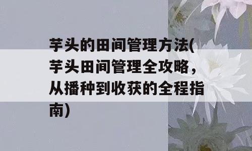 芋头的田间管理方法(芋头田间管理全攻略，从播种到收获的全程指南)