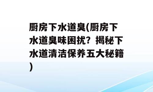 厨房下水道臭(厨房下水道臭味困扰？揭秘下水道清洁保养五大秘籍)