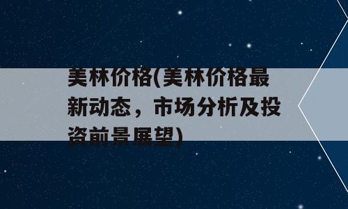 美林价格(美林价格最新动态，市场分析及投资前景展望)