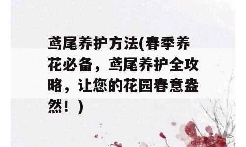 鸢尾养护方法(春季养花必备，鸢尾养护全攻略，让您的花园春意盎然！)