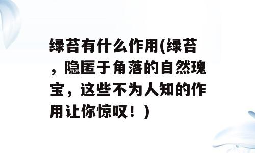 绿苔有什么作用(绿苔，隐匿于角落的自然瑰宝，这些不为人知的作用让你惊叹！)
